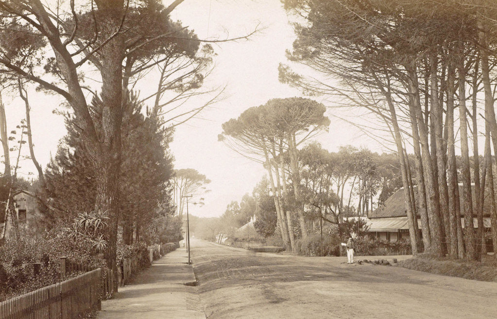 Detail of On the Main Road at Wynberg by GWW