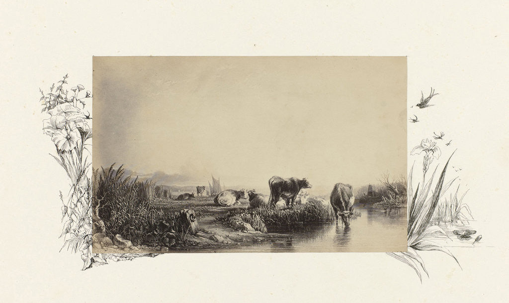 Detail of engraving of Dutch landscape with cows lined with drawing water flora by Anonymous