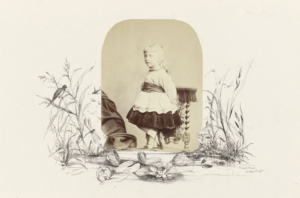 Detail of Portrait Princess Marie of Edinburgh as a child, bordered by drawing water flora by Anonymous