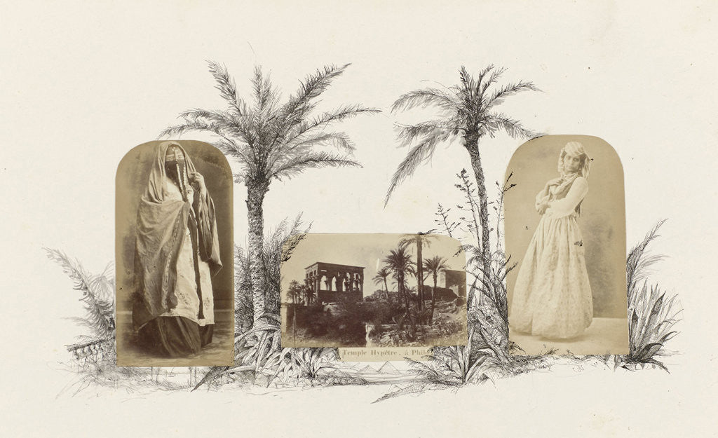 Detail of Egypt, genre portrait veiled woman, surrounded by palm trees by Anonymous