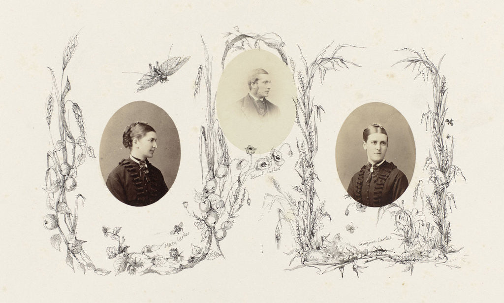 Detail of Portrait of John P.Carter bordered by drawing fruit vines by Anonymous