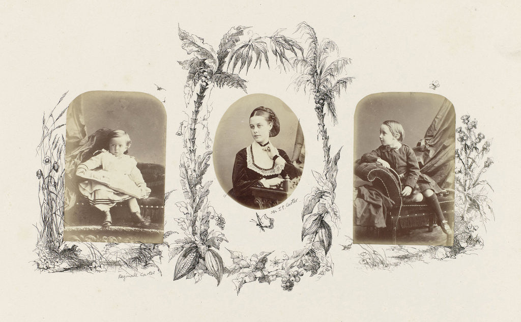 Detail of Portrait of Reginald Carter as a child's picture book bordered by drawing flora by Anonymous