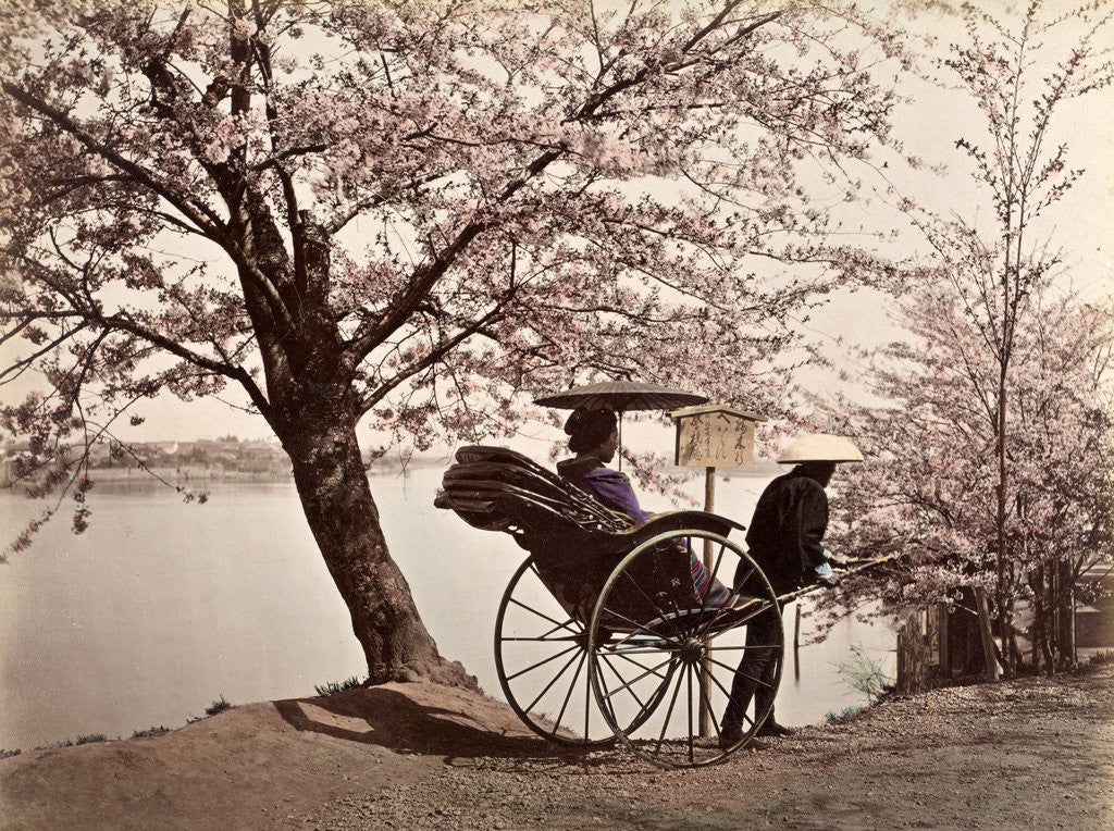 Detail of View Mukaijima with riksha, Japan by Anonymous