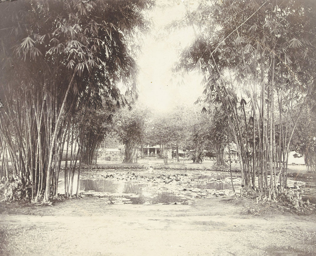 Detail of Bamboo Garden and pond with a house by Anonymous