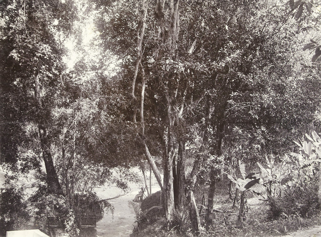 Detail of Woman with umbrella on chair in forest or park by Anonymous