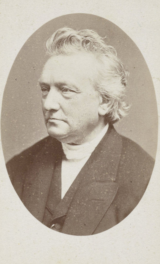 Detail of Portrait of Professor P. Hofstede de Groot by Anonymous