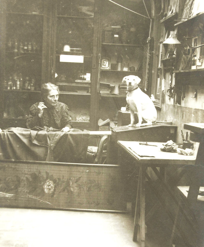 Detail of Portrait of woman with dog in sewing and interior by Anonymous