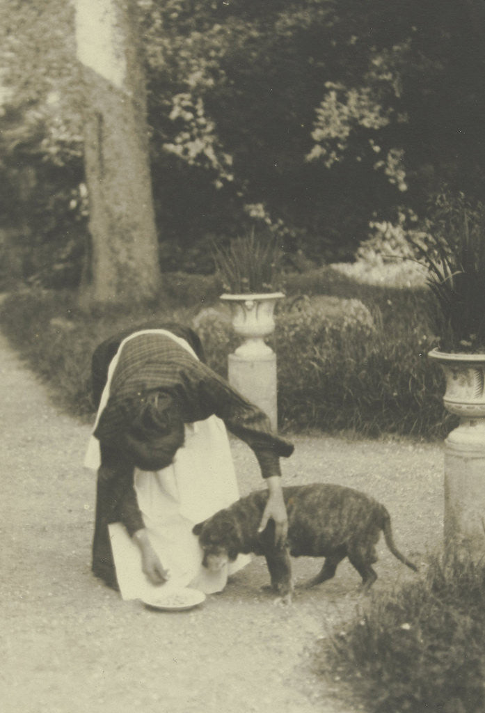 Detail of Woman with a dog in a garden by Anonymous