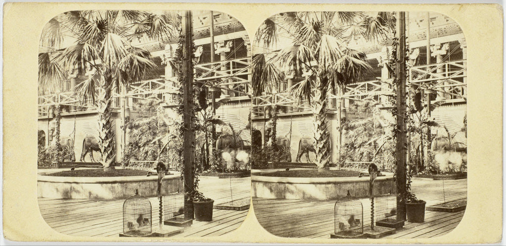 Detail of Crystal Palace The Great Palm, and Nineveh Court, Tropical Department by The London Stereoscopic Company
