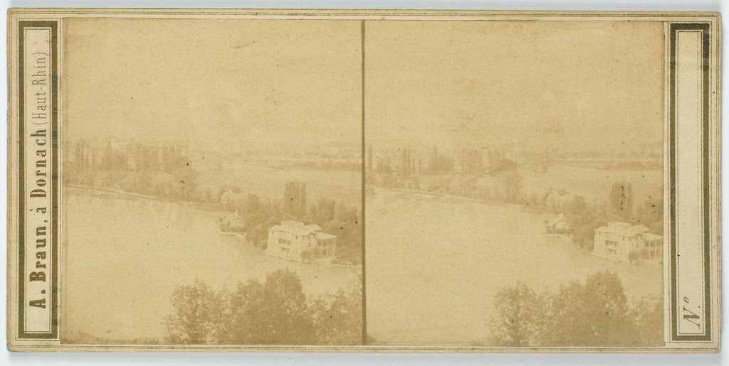 Detail of Near Thun Switzerland by Adolphe Braun