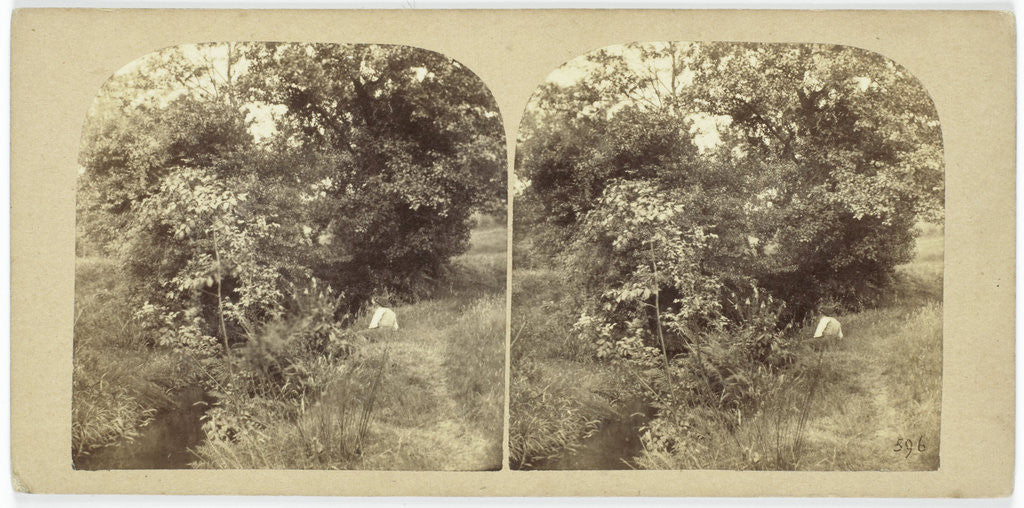 Detail of Landscape with Figure in the ditch by Andries Jager