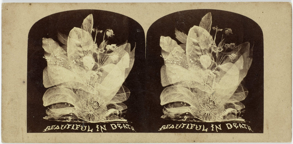 Detail of Beautiful in Death by The London Stereoscopic Company