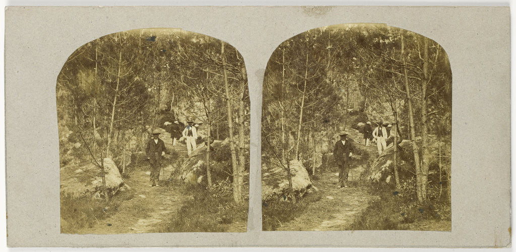 Detail of hikers in Pinery by Anonymous