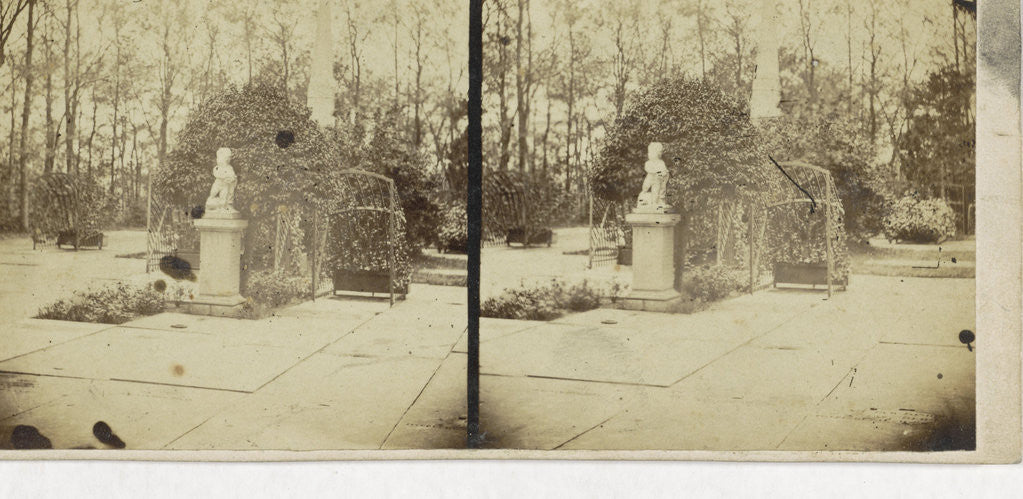 Detail of Oak Dunes by Anonymous