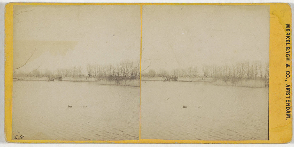 Detail of Duck cage by Johannes W. Merkelbach & Co