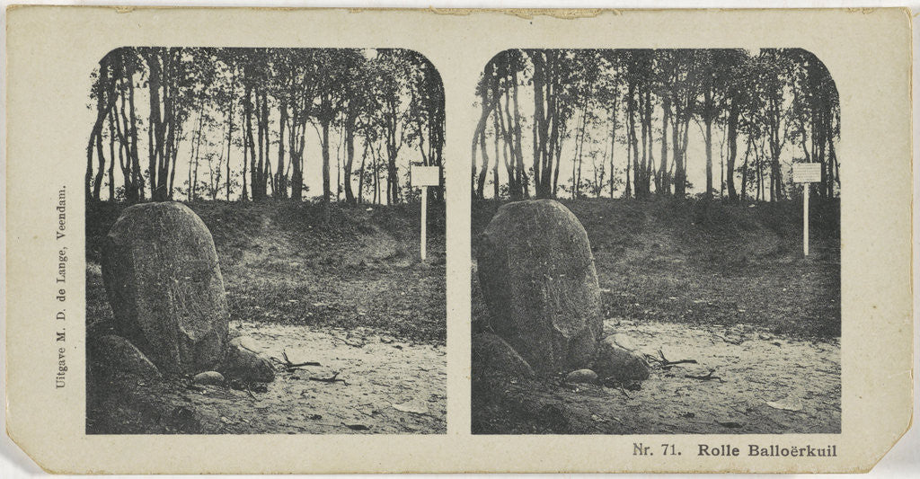 Detail of Rolle Balloerkuil by M.D. de Lange