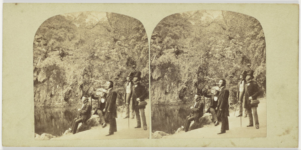 Detail of View on the Dargle, Ireland by Anonymous