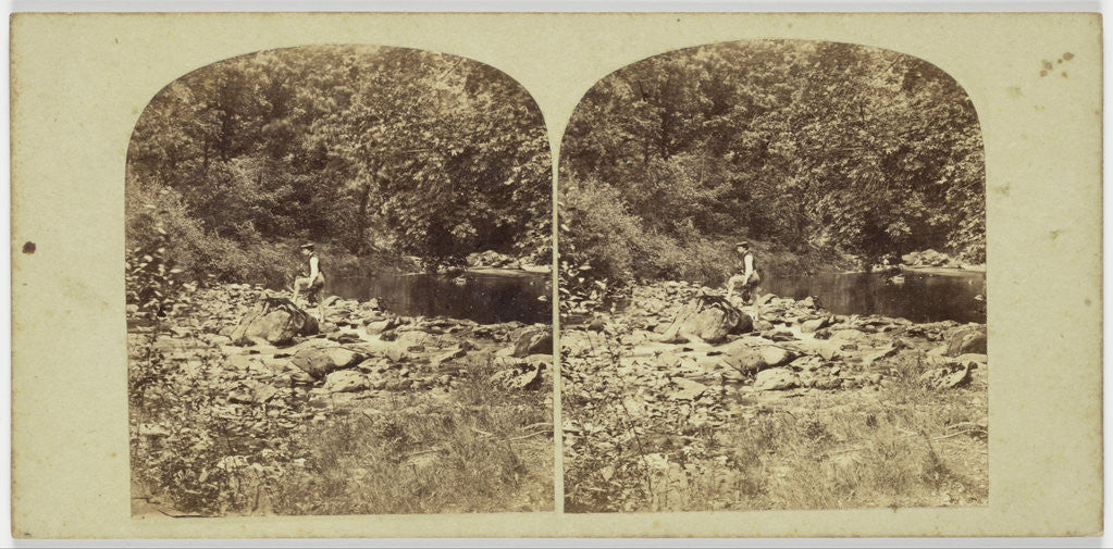 Detail of View in the Devil's Glen, County Wicklow, Ireland by Anonymous