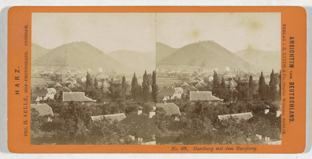 Detail of Harzburg Burgberg, Germany, H. Selle by Sophus Williams & E. Linde & Co