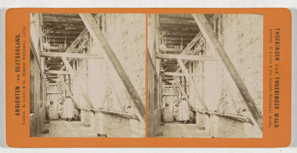 Detail of Salzungen, Gradirgang, Germany by Sophus Williams & E. Linde & Co