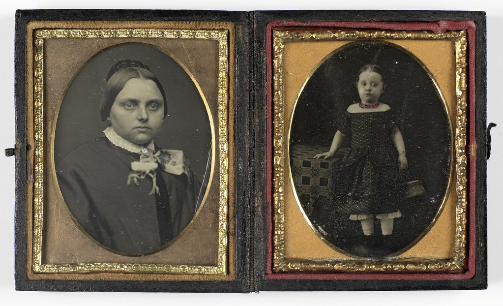 Detail of Portrait of a little girl by Peter Casteels III