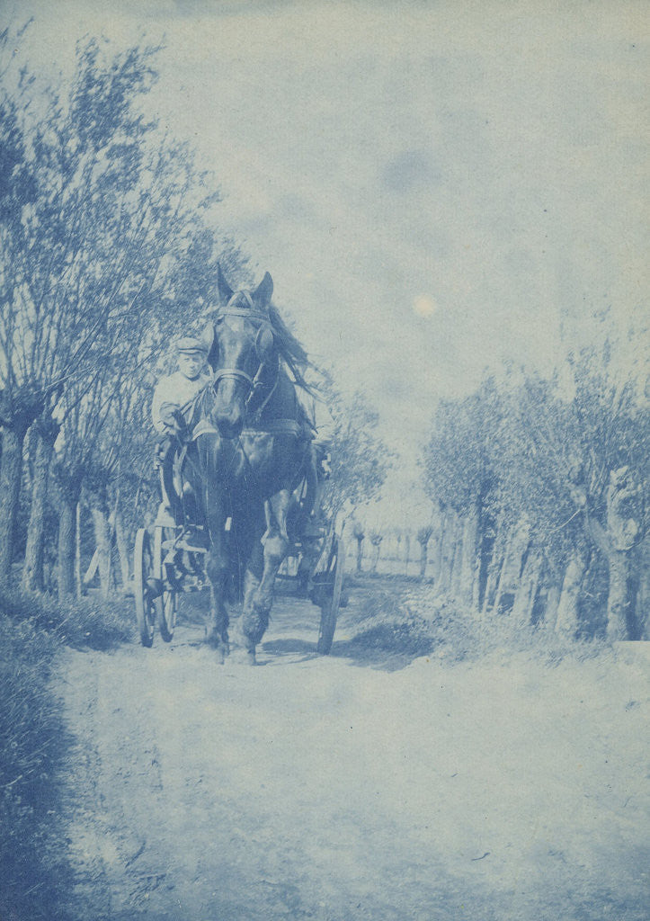 Detail of Young man in horse cart by Anonymous