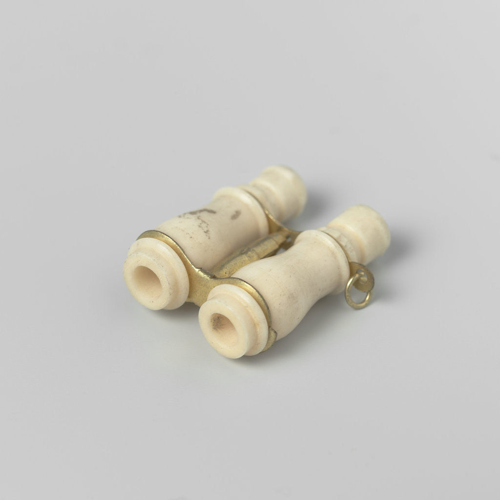 Detail of Two micrographs of nudes in beau, small looking glass by Anonymous