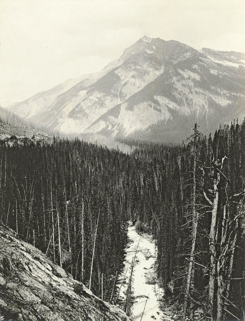 Detail of View over Kicking Horse Canyon by William Notman