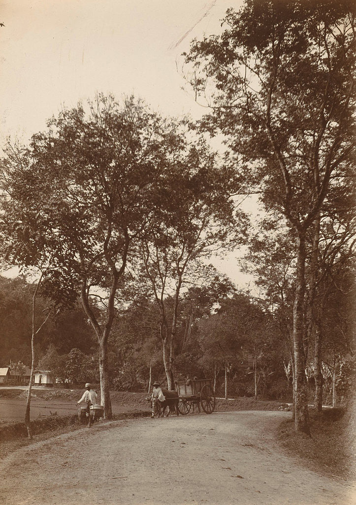 Detail of in the Dutch East Indies, indonesia by Anonymous