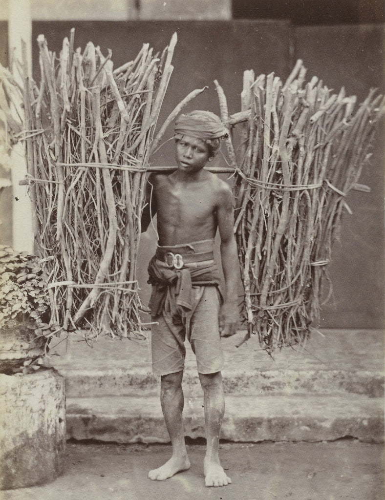 Detail of Portrait of a Java, Indonesianese man with collected wood, Indonesia by Anonymous