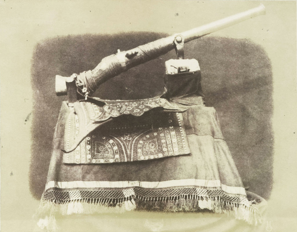 Detail of Camel Gun India by Hugh Owen