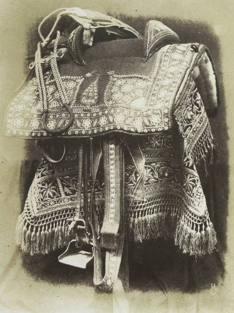 Detail of Embroidered Saddle by Hugh Owen