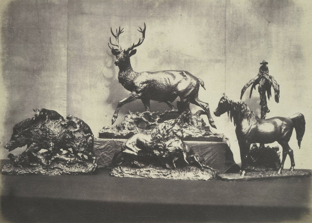Detail of Castings of Animals by C.M. Ferrier & F. von Martens