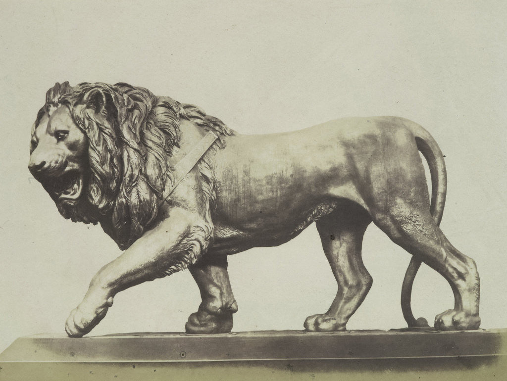 Detail of Colossal Bronze Lion. Miller by C.M. Ferrier & F. von Martens
