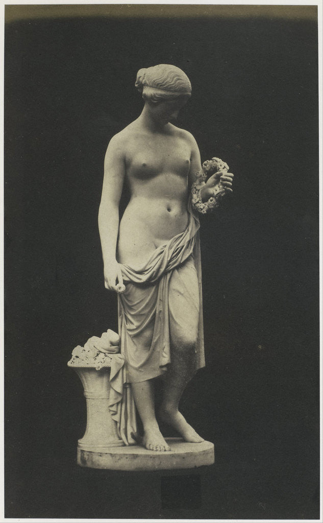 Detail of Glycera by C.M. Ferrier & F. von Martens