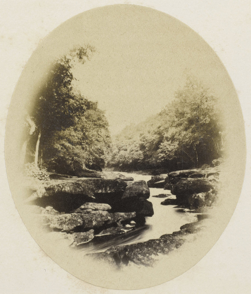 Detail of Bolton Priory, The Strid by William Russell Sedgfield