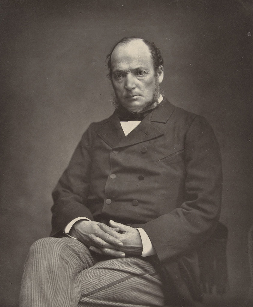 Detail of Portrait of the French politician De Marcère by Etienne Carjat