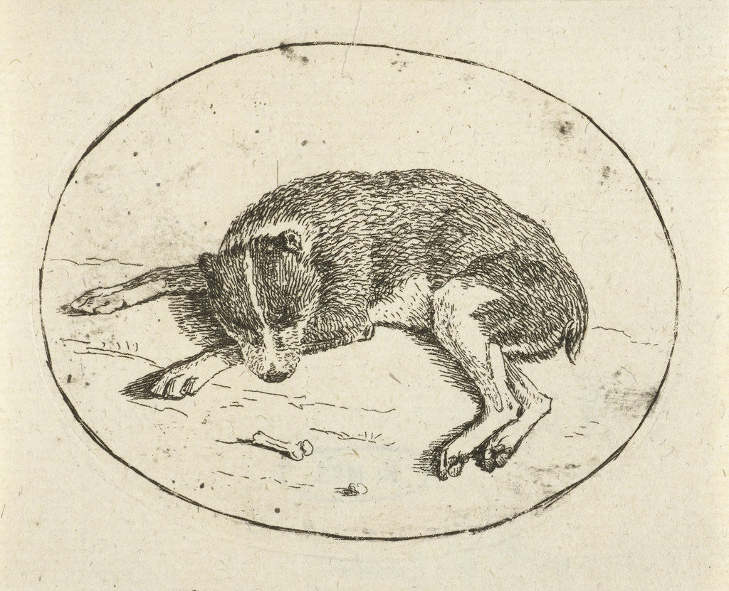 Detail of Lying dog by Anthonie van den Bos