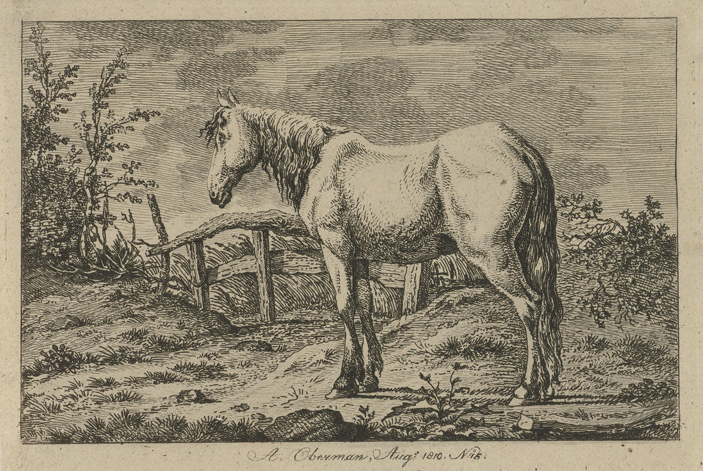 Detail of Single horse by Anthony Oberman