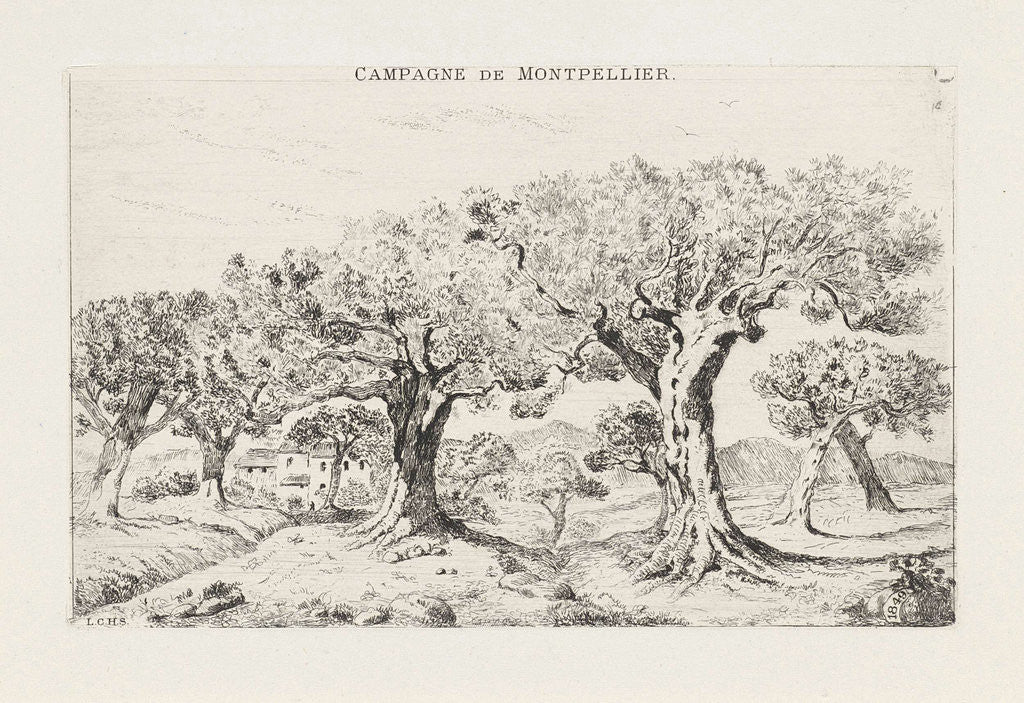 Detail of Landscape with Olive Trees in Montpellier France by Louis Charles Hora Siccama