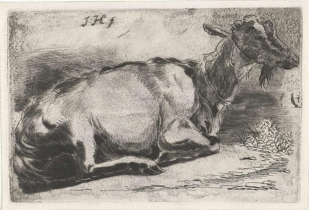 Detail of Lying goat by Jabes Heenck