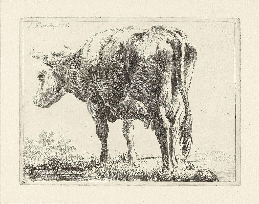 Detail of Standing cow by Jabes Heenck