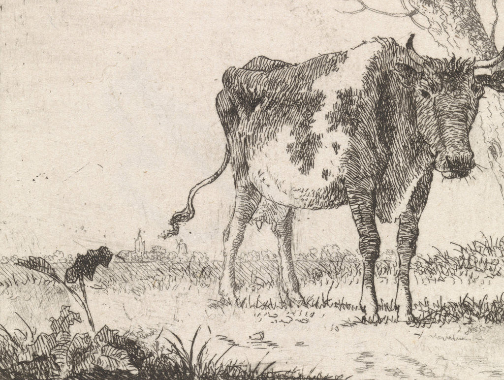 Detail of Cow standing in pasture by Johannes Christiaan Janson