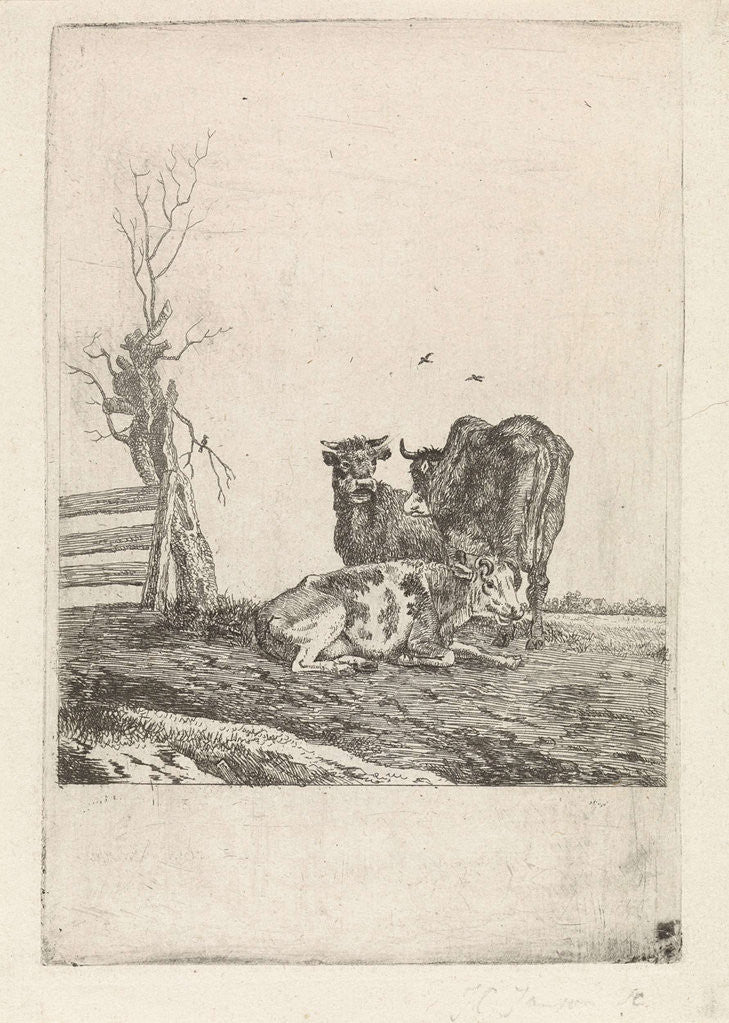Detail of Landscape with three cows by Pieter Janson