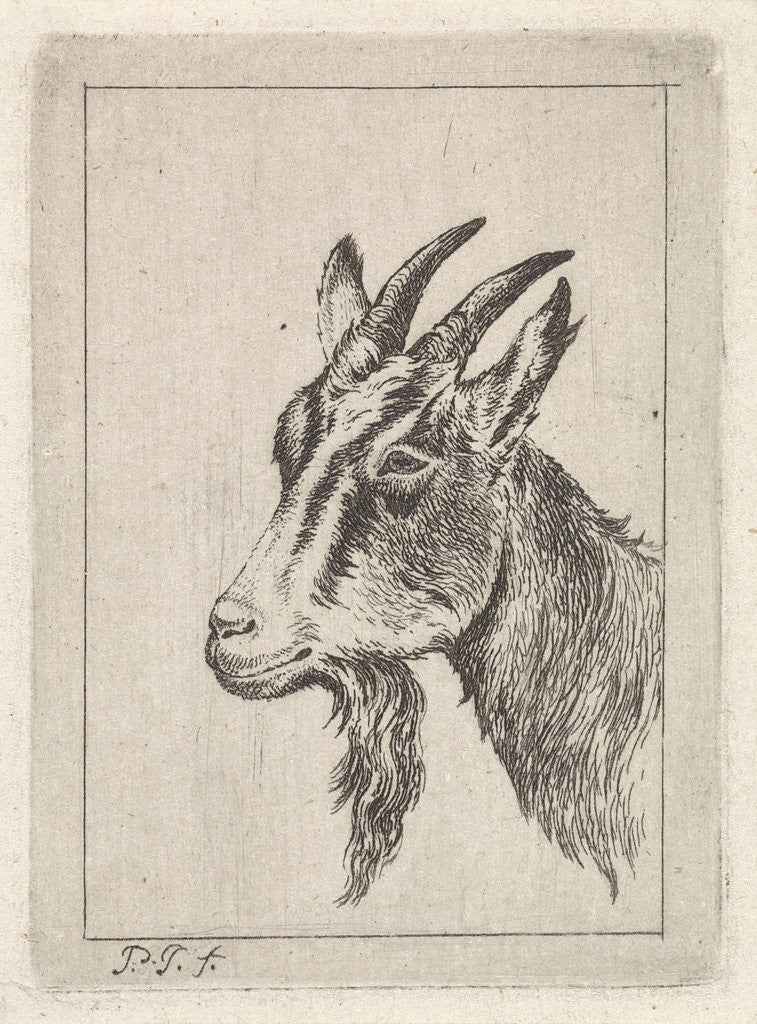 Detail of Goats head by Pieter Janson