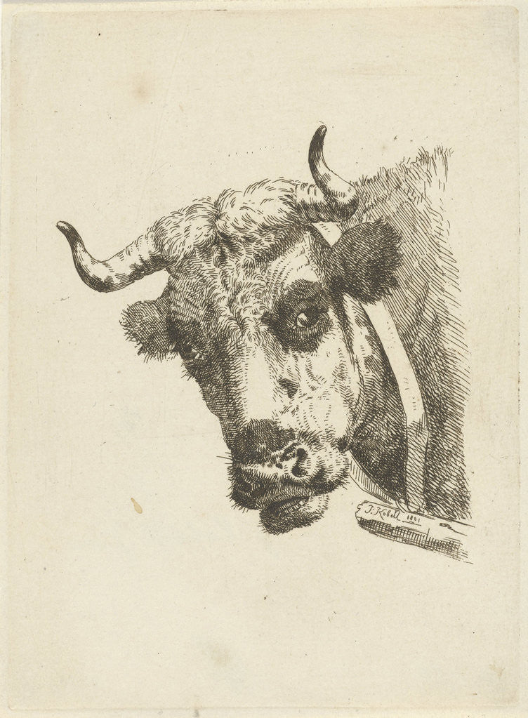Detail of Head of a cow by Jan Kobell III