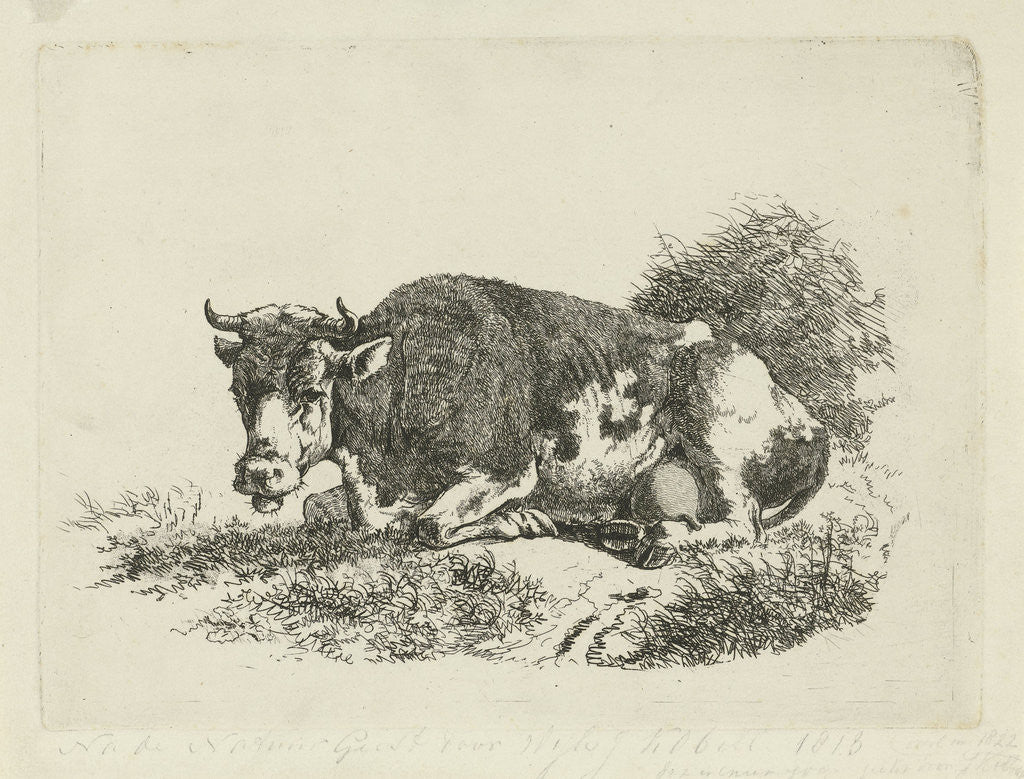 Detail of lying Cow by Jan Kobell III