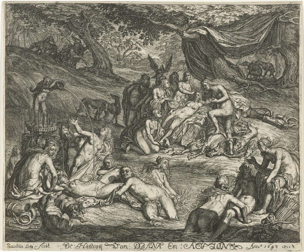 Detail of Diana discovers the pregnancy of Callisto by Jacob Lois