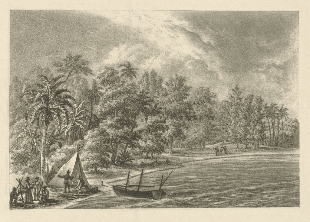 Detail of Tropical landscape by François Joseph Pfeiffer II