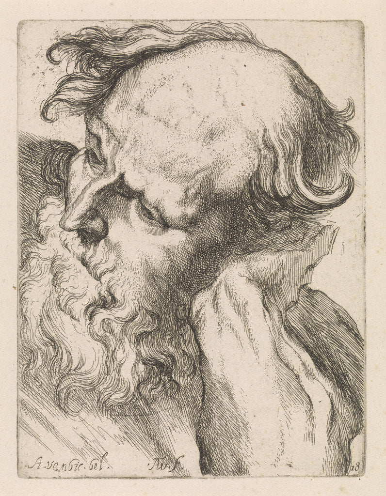 Detail of Head of an old man (Joseph) by Augustinus Terwesten I